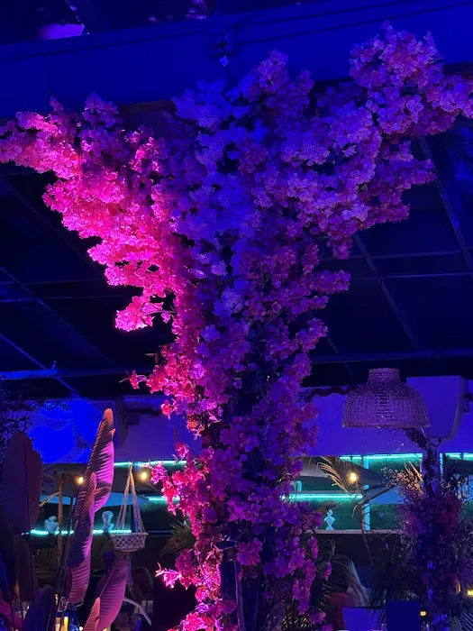 Vida Garden Picture 10