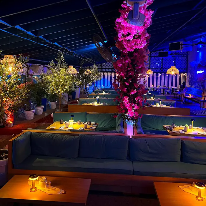 Vida Garden Picture 6