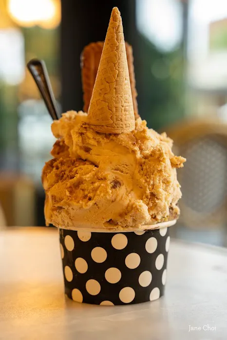 Bianco Nero Gelato Picture 9