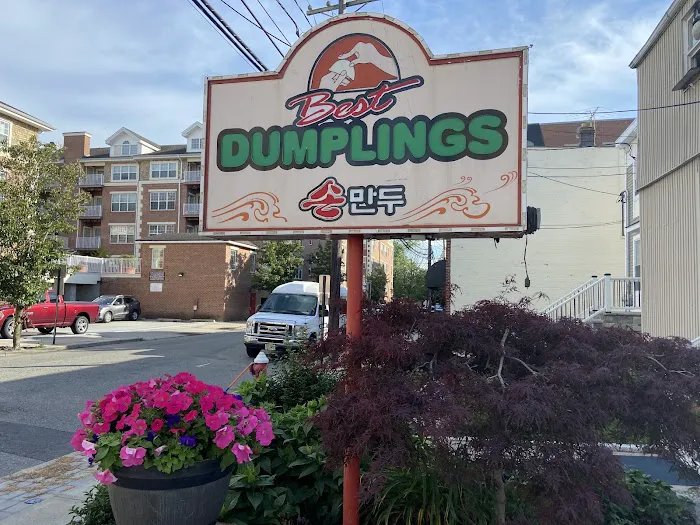 Best Dumplings Picture 1