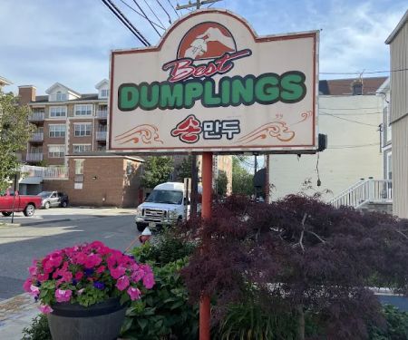 Best Dumplings