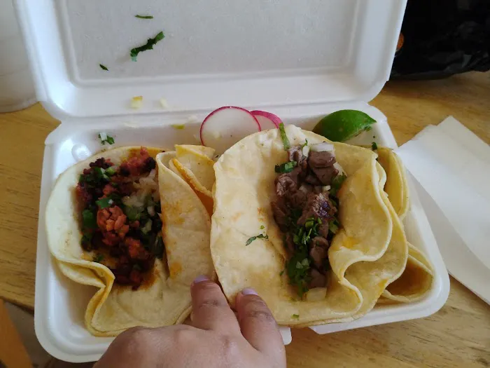 El Nopalito Mexican Cuisine Picture 9