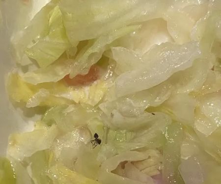 Jersey Mike's Subs