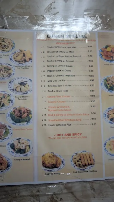 Yummy Yummy Chinese Kitchen Picture 8