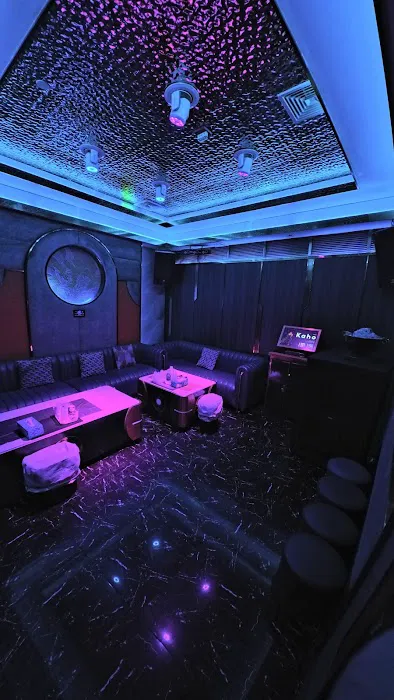 The Deluxe Party KTV Picture 1