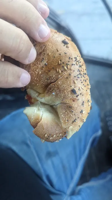 Whitestone Bagel Factory Picture 4