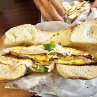 Oh!Bagels Cafe ico