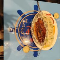 Alshibani Seafood ico