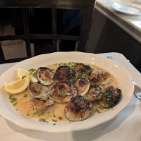 Enzo's Of Williamsbridge ico