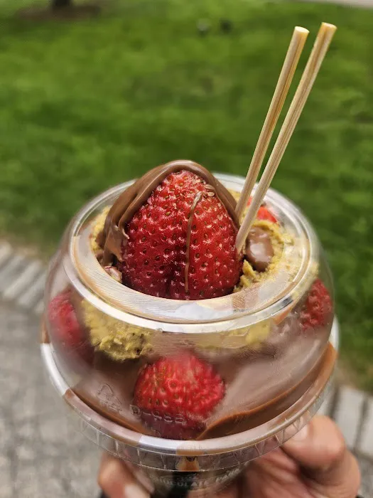 Chocolate Park Picture 6