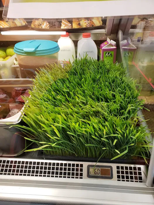 Healthy Fresh Picture 9
