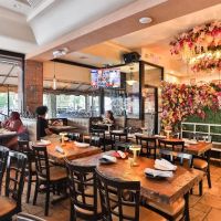 Cafe Colonial Restaurant ico