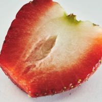 Cocoa Bean Juice and Salad Bar ico
