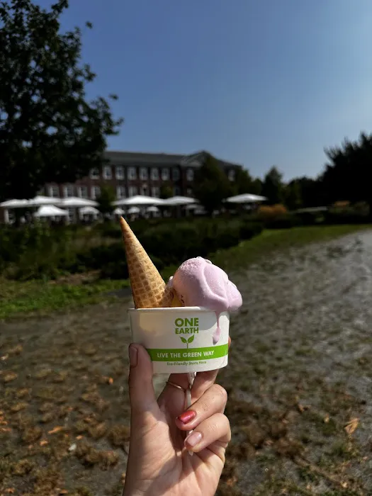 Brigsby Ice Cream Picture 5