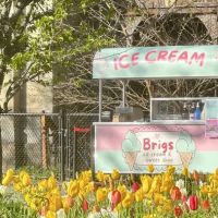 Brigsby Ice Cream ico