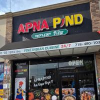 APNA PIND ico