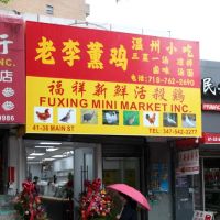 Ruyi Wenzhou Xiaochi ico