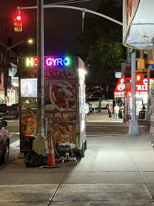 Halal Gyro Picture 1
