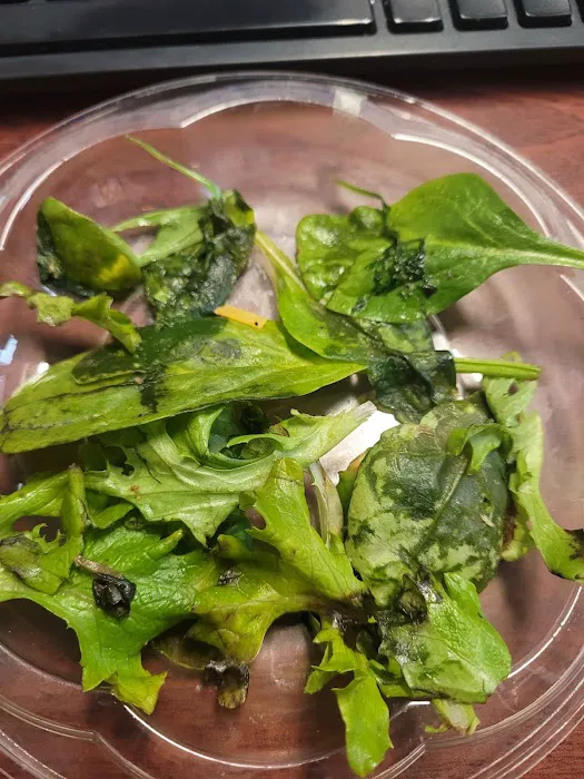 Addiction Juice Bar & Grill Picture 6