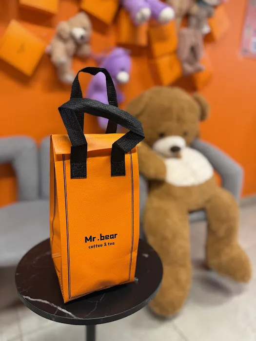 Mr. Bear Picture 5