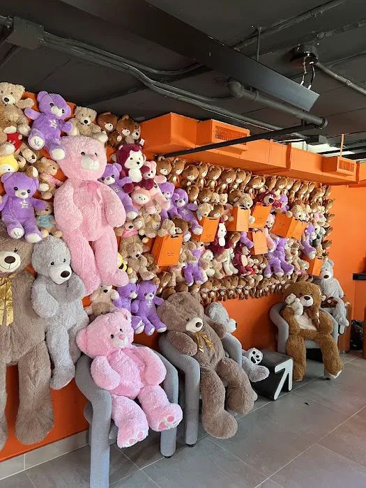 Mr. Bear Picture 9