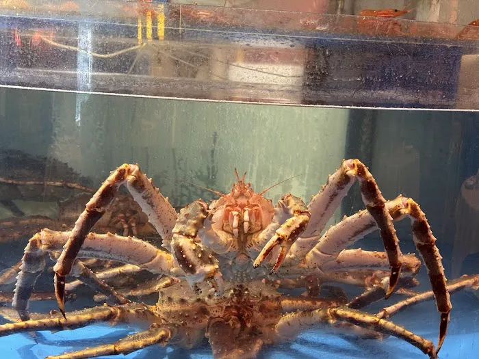 King Crab House Picture 1