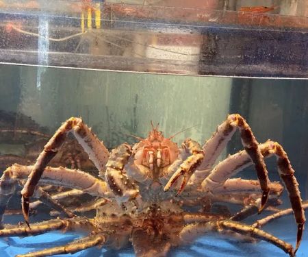 King Crab House