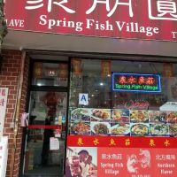 Spring Fish Village ico