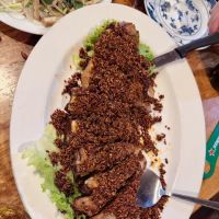 Zhengzhou Noodles Inc ico