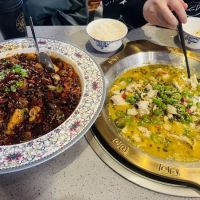 热辣滚烫 flushing ico