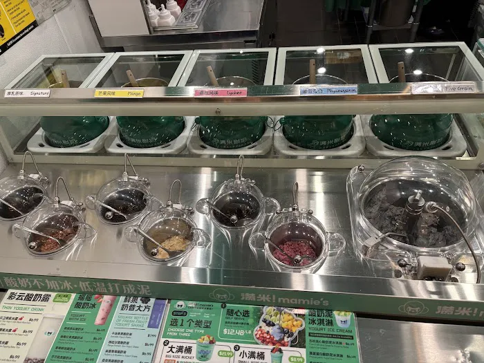 Mamie's Yogurt 满米酸奶 Picture 6