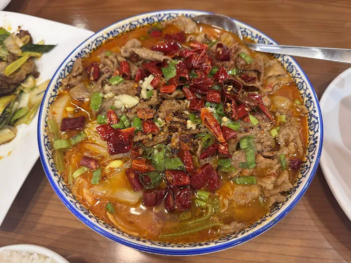 Lao Chengdu Spicy Food Picture 1