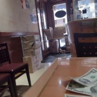 New Metro Sushi Cafe ico