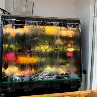 Fruteria & grocery 75th st ico