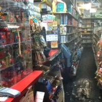 Many's Deli Corporation ico