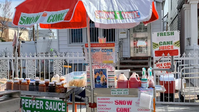 Aunty Snow Cone Picture 5