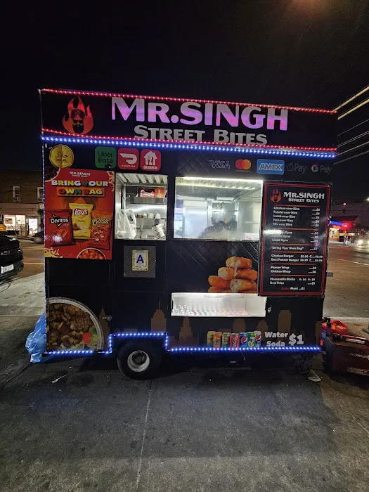 Mr Singh street bites Picture 5