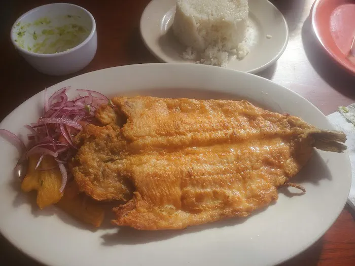 Don Pollo Ozone Park Picture 6