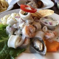 Don Pollo Ozone Park ico