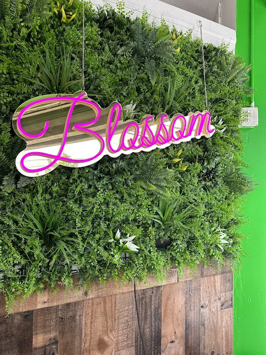 Blossom Caribbean Restaurant Picture 6