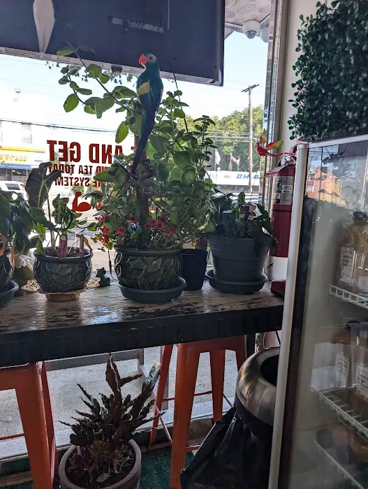 Gentle Juice Bar Picture 6
