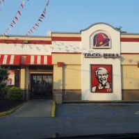 Taco Bell / KFC ico