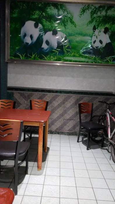 Panda House Picture 7
