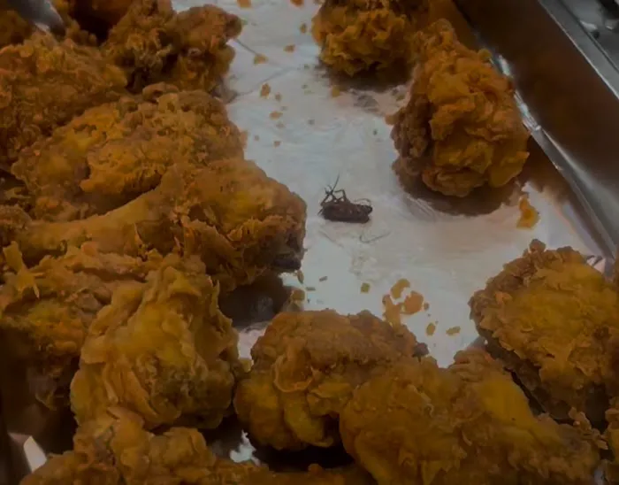 Jamaican Jerk House Picture 6