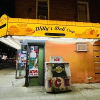 Willy's Deli Corp ico