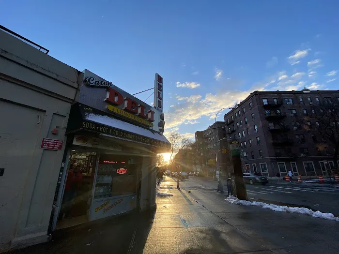 Caton Deli & Luncheonette Picture 5