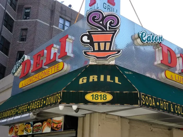 Caton Deli & Luncheonette Picture 2