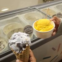 Jane’s Ice Cream ico