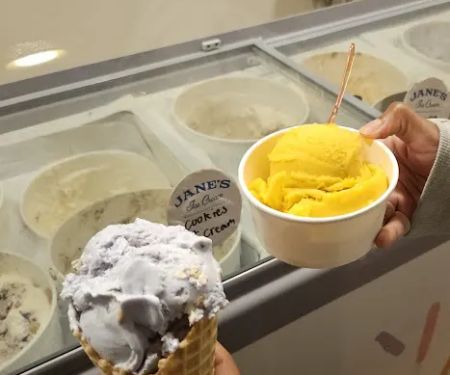 Janeu2019s Ice Cream
