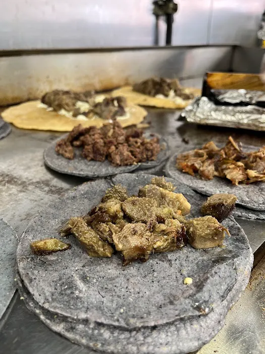 Girasol Taqueria & Bakery Picture 3
